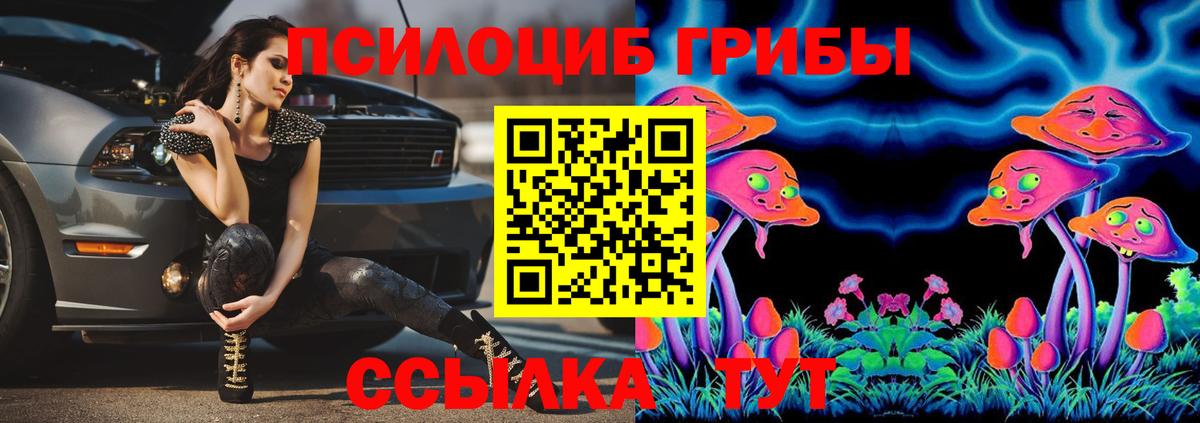 Галлюциногенные грибы мицелий Мурманск