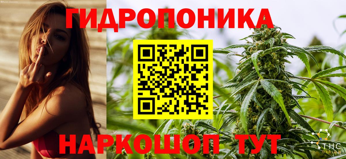 Шишки марихуана White Widow  Вход с VPN  Мурманск  Канабис планчик  Бошки Шишки план 